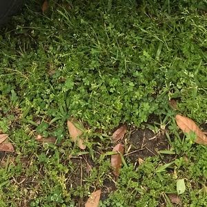 Meet your Posher, Kennedy